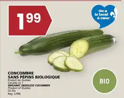 Rachelle-Bery Grocery ORGANIC SEEDLESS CUCUMBER offer