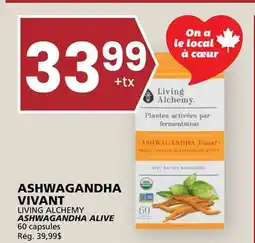 Rachelle-Bery Grocery VIVANT LIVING ALCHEMY ASHWAGANDHA ALIVE offer