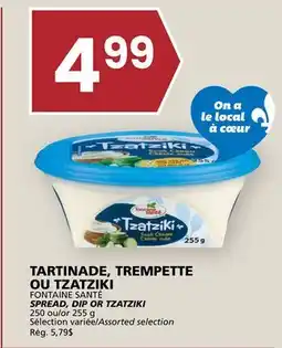 Rachelle-Bery Grocery FONTAINE SANTÉ SPREAD, DIP OR TZATZIKI offer