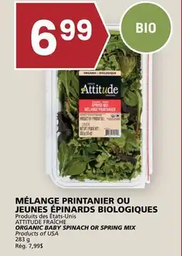 Rachelle-Bery Grocery ATTITUDE FRAÎCHE ORGANIC BABY SPINACH OR SPRING MIX offer