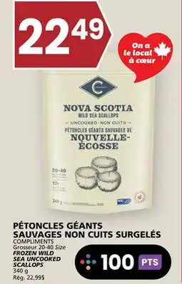 Rachelle-Bery Grocery COMPLIMENTS FROZEN WILD SEA UNCOOKED SCALLOPS offer