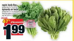 Super C Rapini AndyBoy ou épinards en botte | AndyBoy rapini or bunch spinach offer