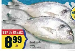 Marché Adonis Daurade royale | Royal sea bream offer