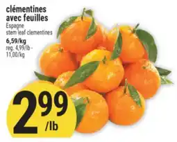 Marché Adonis Clémentines avec feuilles | Stem leaf clementines offer