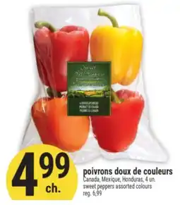 Marché Adonis Poivrons doux de couleurs | Sweet peppers assorted colours offer