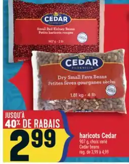 Marché Adonis Haricots Cedar | Cedar beans offer