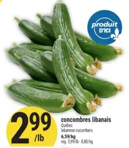 Marché Adonis Concombres libanais | Lebanese cucumbers offer