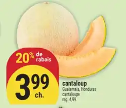 Marché Adonis Cantaloup | Cantaloupe offer