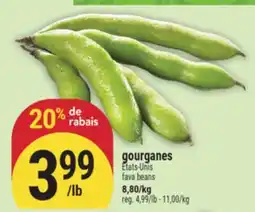 Marché Adonis Gourganes | Fava beans offer