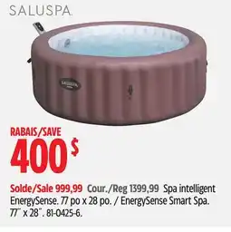 Canadian Tire EnergySense Smart Spa offer