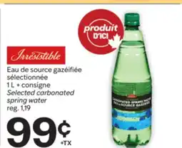 Brunet IRRESISTIBLES Eau de source gazéifiée sélectionnée offer