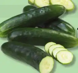 IGA FIELD CUCUMBER offer