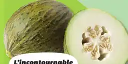 IGA CANARI OR SANTA CLAUS MELON offer