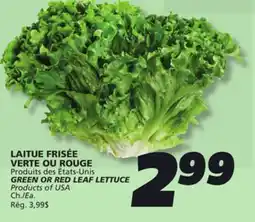 IGA GREEN OR RED LEAF LETTUCE offer