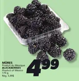 IGA BLACKBERRIES offer