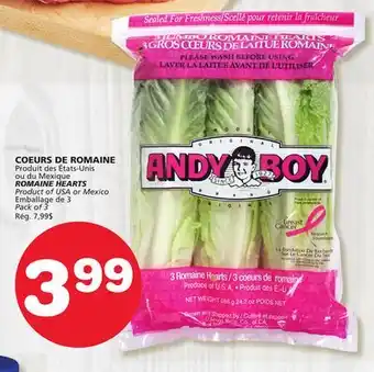 Marches Tradition ROMAINE HEARTS offer