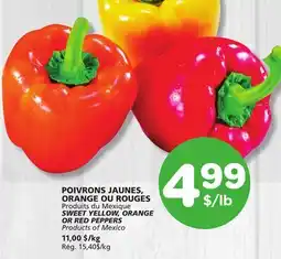 Marches Tradition SWEET YELLOW, ORANGE OR RED PEPPERS offer