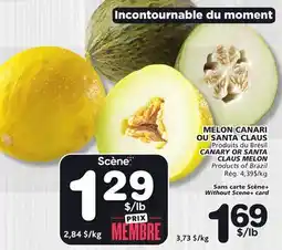Marches Tradition CANARY OR SANTA CLAUS MELON offer