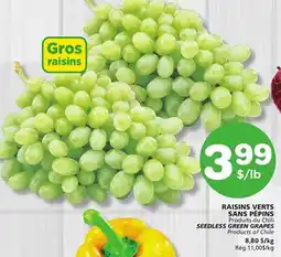 Marches Tradition SEEDLESS GREEN GRAPES offer