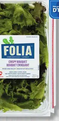 Marches Tradition FOLIA GREENHOUSE CRUNCKY GREENS OR CRISPY BOUQUET offer