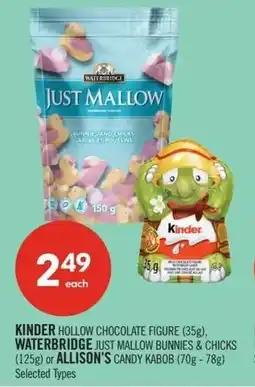 Shoppers Drug Mart Kinder hollow chocolate figure, waterbridge or allison's offer