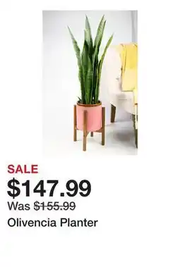 Wayfair Olivencia Planter offer