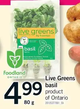 Fortinos LIVE GREENS BASIL offer