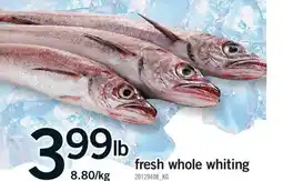 Fortinos FRESH WHOLE WHITING offer