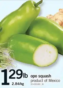 Fortinos OPO SQUASH offer