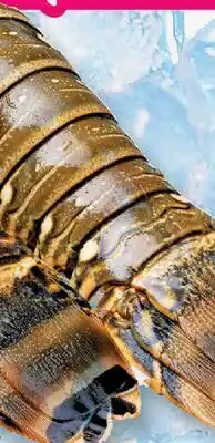 Fortinos ROCK LOBSTER TAILS, 10-12 oz offer