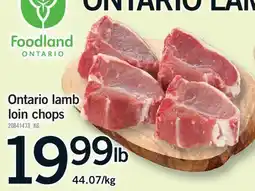 Fortinos ONTARIO LAMB LOIN CHOPS offer