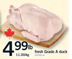 Fortinos FRESH GRADE A DUCK offer