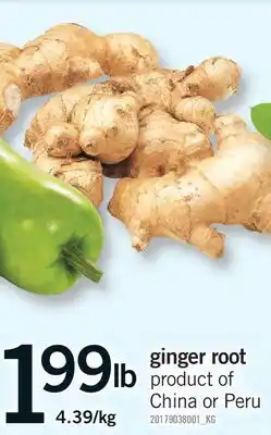 Fortinos GINGER ROOT offer