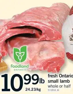 Fortinos FRESH ONTARIO SMALL LAMB offer
