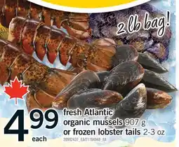 Fortinos FRESH ATLANTIC ORGANIC MUSSELS 907 G OR FROZEN LOBSTER TAILS 2-3 OZ offer