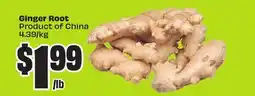FreshCo Ginger Root Product of China 4.39/kg - Vaisakhi offer