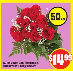 FreshCo 50 cm Dozen Long Stem Roses with Greens & Baby's Breath offer