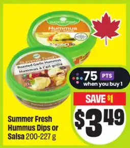 FreshCo Summer Fresh Hummus Dips or Salsa offer