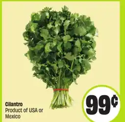 FreshCo Cilantro Product of USA or Mexico - Vaisakhi offer