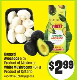 FreshCo Bagged Avocados 5 pk Product of Mexico or White Mushrooms 454 g Product of Ontario offer