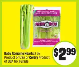 FreshCo Baby Romaine Hearts 2 pk Product of USA or Celery Product of USA No. I Grade offer