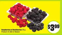 FreshCo Raspberries or Blackberries 170 g Product of USA or Mexico offer
