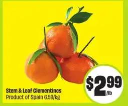 FreshCo Stem & Leaf Clementines Product of Spain 6.59/kg offer