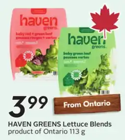 Sobeys HAVEN GREENS Lettuce Blends offer