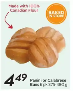 Sobeys Panini or Calabrese Buns offer