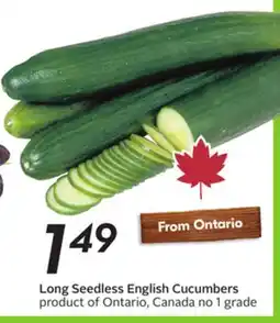 Sobeys Long Seedless English Cucumbers offer