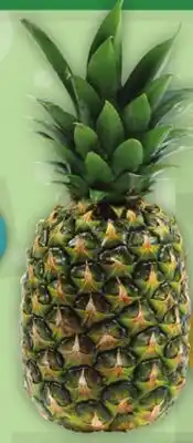 Food Basics TROPICAL GOLD PINEAPPLE OR CANTALOUPE offer