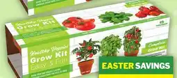 Food Basics MINI TOMATO GROW KIT offer