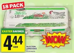 Food Basics SELECTION LARGE EGGS offer
