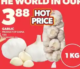 Loblaws GARLIC offer